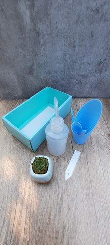 《DIY Gift box》 Succulents & Tools, Watering Plastic Squeeze Bottle gift pack