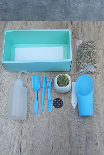 《DIY Gift box》 Succulents & Tools, Watering Plastic Squeeze Bottle gift pack