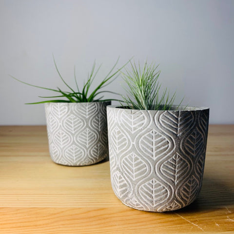 Leafs Style Cement pots for succulent Cactus Flower