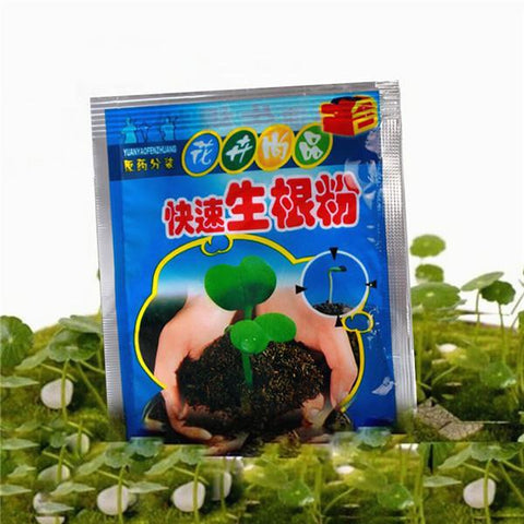 Fast Rooting Powder 10g Hormone Growing Root Seedling Germination Cutting