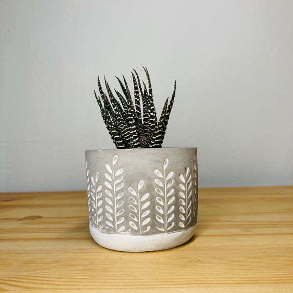 Leaf Style Cement pots for succulent Cactus Flower a