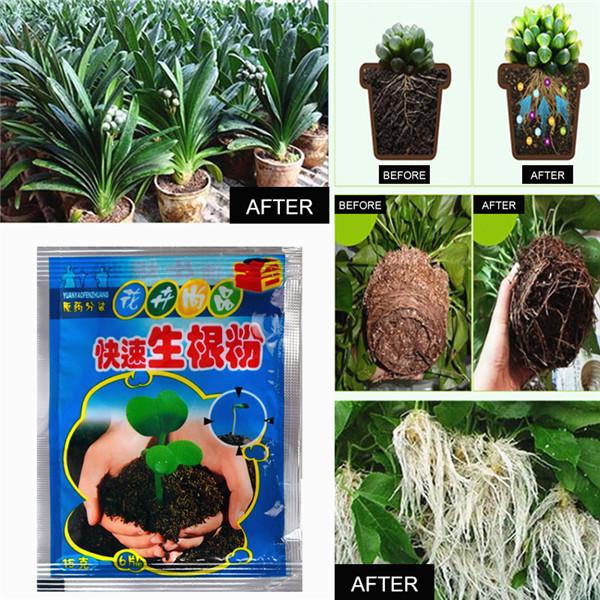 Fast Rooting Powder 10g Hormone Growing Root Seedling Germination Cutting