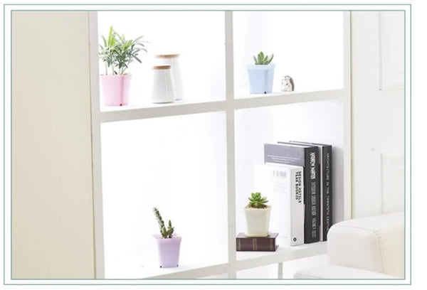 10pcs 7cm Succulents and Plant Propagation Seedling Nursery  Pots - White succulent Cactus